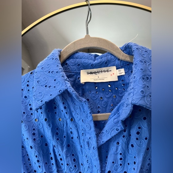 The Tobie Button-Front Pleated Shirt Dress: Mini Eyelet Edition - Picture 8 of 8